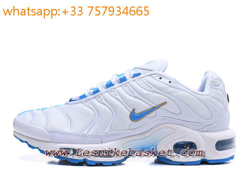 air max plus bleu